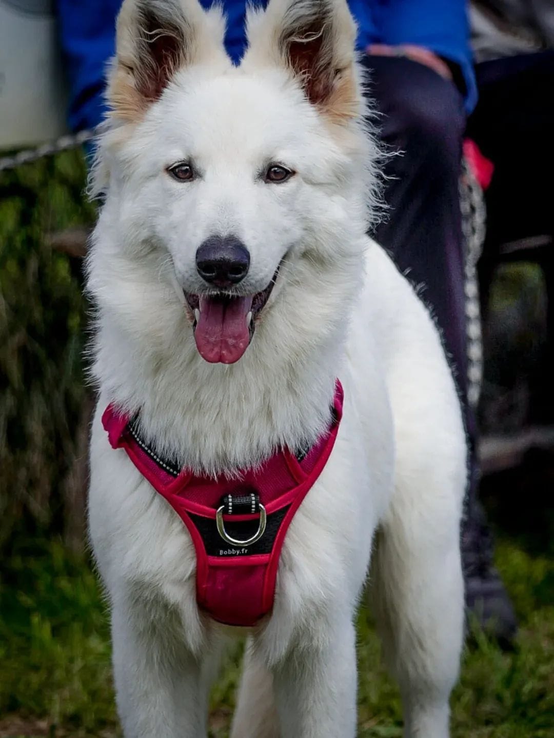 WhatsApp Image 2zvtze026-02-20 at 09.43.35.jpeg